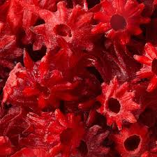 Light Hibiscus